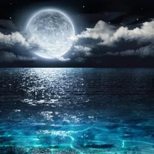 Καλαμακίδου Σοφία