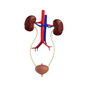 Κολοτούρος Αριστείδης