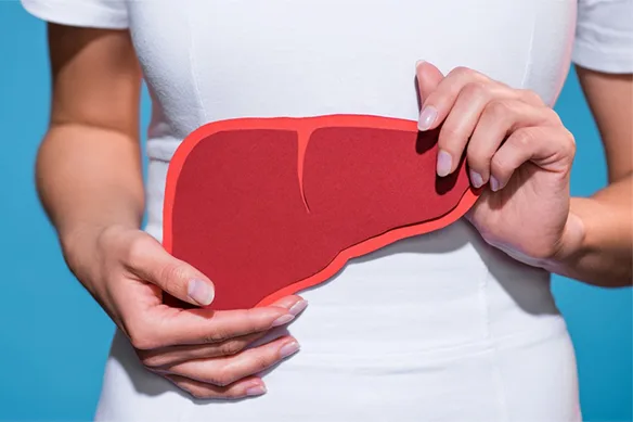 Ποιά η σημασία ενός ηγιούς ήπατος