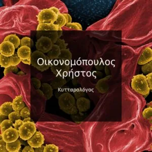 Οικονομόπουλος Χρήστος