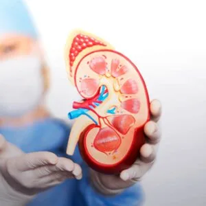 Ζωγραφάκης Εμμανουήλ