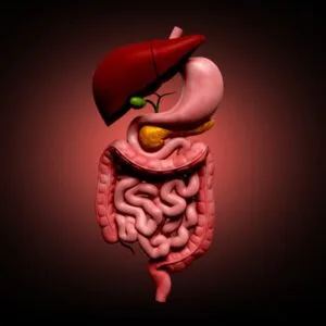 Φραγκιαδάκης Νικόλαος