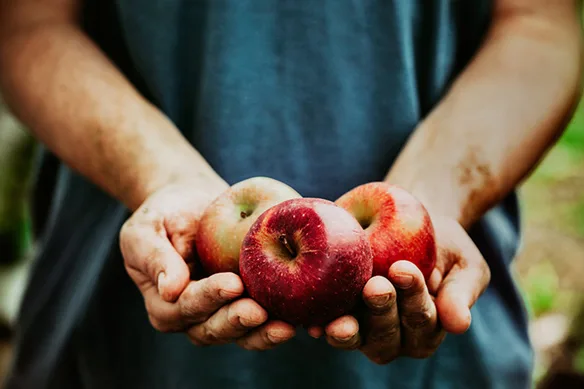 Το φρούτο που ρίχνει την χοληστερόλη