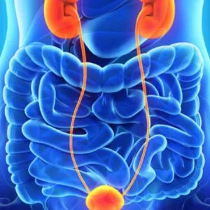 Νταντίνης Κοσμάς