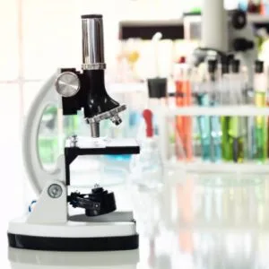 Σκορδοπούλου Αικατερίνη