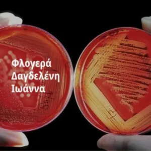 Φλογερά Δαγδελένη Ιωάννα