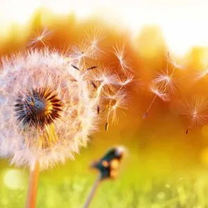 Παρηγοράκης Ιωάννης