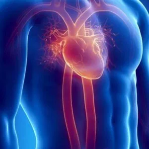 Ψαθάκης Εμμανουήλ