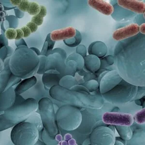 Πατρινός Ευθύμιος