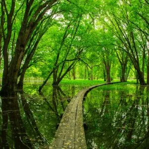 Παπαδόπουλος Σωκράτης