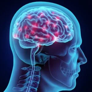 Πατρικαλάκης Αθανάσιος