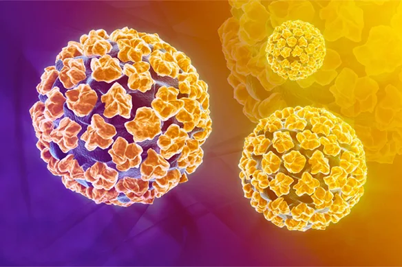 HPV, Πρόληψη, Αντιμετώπιση, Εγκυμοσύνη