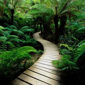 Χαρισιάδη Μαρίνα