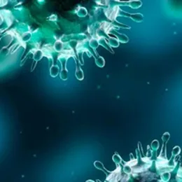 Σεγρεδάκη Μαρία