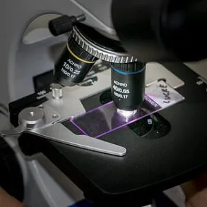 Χριστοδουλίδη Ιωάννα