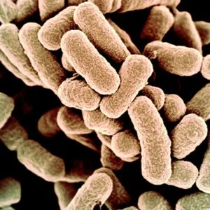 Τζορμπατζάκης Αντώνιος