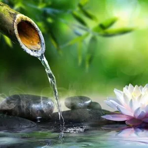 Λαζάρου Μαργαρίτα