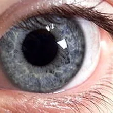 Κεχαγιά Έφη