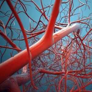 Πατεράκης Σταύρος