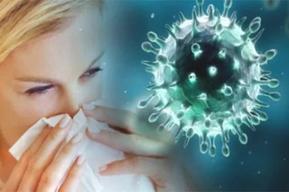 Εποχική Γρίπη