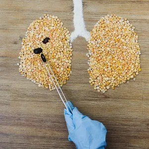 Παπασαραντοπούλου Ξένη Νεκταρία