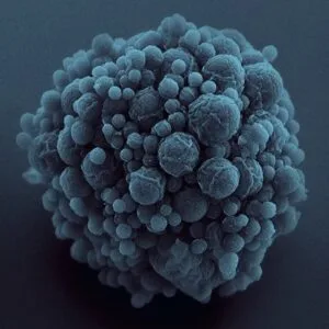 Γιαννόπουλος Κωνσταντίνος