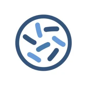 Κυπαρίσση Αγγελική