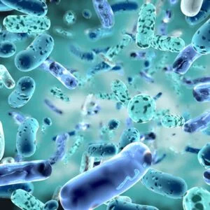 Μαθιουδάκη Ελευθερία