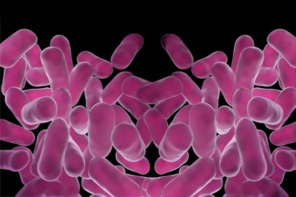 Τι είναι τα Προβιοτικά;