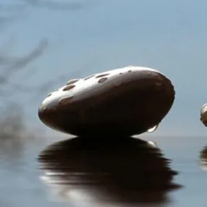 Ανδριόπουλος Ιωάννης