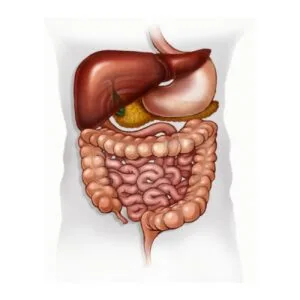 Σπυρόπουλος Σπυρίδων