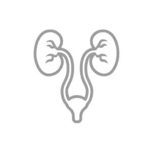 Σπεντζάρης Λουκάς